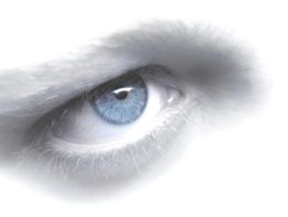 Nahaufnahme eines blauen Auges mit hellem Hintergrund und weichen Konturen.