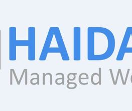 HAIDAon Webdesign Logo