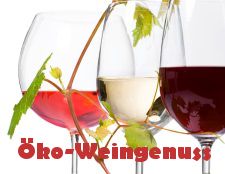Drei Weingläser mit roten und weißen Weinen, verziert mit Reben. Text: "Öko-Weingenuss".