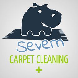 Hippo on a rug logo with text "Severn Carpet Cleaning +" in blue and green.