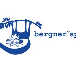 bergner-spinkis Logo