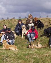 Hundeschule Liane Vettori