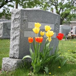 Headstone with red and yellow tulips in a cemetery.