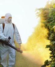 Persona in tuta protettiva spruzza pesticidi in un vigneto al tramonto.