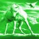 Grünes Bild: Ein Pegasus steht auf Wolken, während ein Vogel im Hintergrund fliegt.