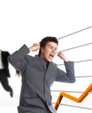 ProBonität - Die Wirtschaftsauskunft