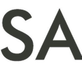 Nagel & Salomon Logo