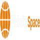 Logo: "Website Space" in orange and white with an abstract globe design on the left.