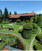 Ein gepflegter Garten mit Teich, Büschen und einer Terrasse vor einem Haus bei sonnigem Wetter.