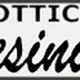 Logo con scritta "Ottica Danesini Luca" su sfondo bianco e verde.