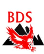 BDS Detektei Logo