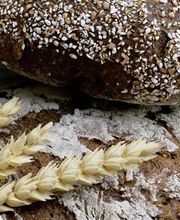 Drei Brote auf Holz mit Sonnenblumenkernen und Ähren. Text: "Taillés depuis 1943".