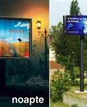 Backlit (mit Licht hinterleuchtet)