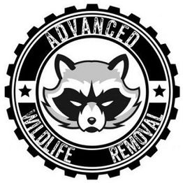 Raccoon logo for "Advanced Wildlife Removal" with stars and gear border.