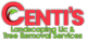 Centi's Landscaping LLC & Tree Removal logo with green leaf inside a red "C".