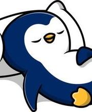 Feines Schlafi  Logo