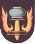 Wappen mit grauem Gefäß über einer gelben Fackel, umgeben von roten Flammen.