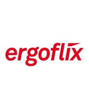ergoflix Group GmbH Logo