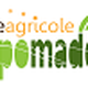 Logo di "Aziende Agricole Gruppo Maddalo" con testo colorato e foglia verde.