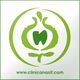 Logo verde con una figura de diente y la web www.clinicanasif.com debajo.