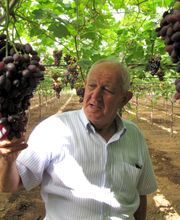 INTERNATIONAL GROSSHANDEL OBST UND GEMÜSE BILLIGER