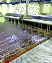 Teppex Teppichreinigung Wuppertal