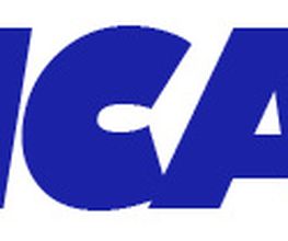 DICASOL Logo