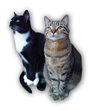 Catsitting-Service Logo